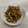 クック9BD0HE☆'s cooksnap of when they made 超やわらか！うちの基本の生姜焼き.