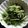 TYSK's cooksnap of when they made 水菜とわかめのナムル【作り置き】.