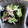 はなぴっち's cooksnap of when they made 新タマネギ☆ワカメ☆キュウリの簡単酢の物.
