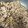 nuri0's cooksnap of when they made 簡単#しょうがたっぷり豚こまのしぐれ煮.