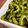 ちょこふみ's cooksnap of when they made むしろ苦いほどうまい！ゴーヤの甘酢漬け.