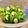 alice57's cooksnap of when they made ✽オクラのおかかまぶし♥梅ポン風味.