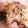 ♬あじさいのレシピ♬'s cooksnap of when they made 豆腐とブタ小間の味噌炒め丼.