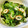 azbjbn's cooksnap of when they made きゅうりとちくわの酢の物.