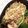 わたさな2016's cooksnap of when they made おかん直伝・たらこと白滝の炒り合わせ.