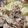 クック3V5U2P☆'s cooksnap of when they made 簡単、豚こまごぼう人参キャベツ煮。.