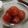 yukitarooo's cooksnap of when they made ✿プチトマトの酢の物✿.