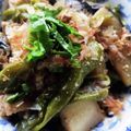 ずっこけ123's cooksnap of when they made 夏はコレ♪甘長ピーマンと茄子の煮浸し.