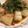 クックMN79XB☆'s cooksnap of when they made とうがんの揚げ浸し.