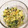 わたさな2016's cooksnap of when they made ツナと豆苗の卵とじ.