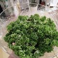 nicoco7's cooksnap of when they made パセリとツナと玉ねぎのやみつきサラダ＊。.
