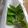 ささささ＆＊'s cooksnap of when they made 生バジル長持ち保存方法.