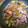 やまきょろちゃん's cooksnap of when they made 食欲増進♪イカときゅうりのキムチ炒め.