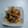 クック3N0VKO☆'s cooksnap of when they made 豚の薄切り肉炒め(焼肉風味).