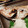 はらぺことりっぷ's cooksnap of when they made 簡単♪イシモチの塩焼き.