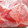 クック3D63YZ☆'s cooksnap of when they made 我が家のスイカの保存方法.