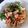 T❀mo's cooksnap of when they made ピビンククス（ピビン麺）.