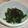 きらり流れ星's cooksnap of when they made ニラとごま昆布の簡単おひたし.