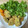 ながぴー♧'s cooksnap of when they made 生おからと鯖水煮缶でさっくり和風ナゲット.