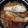 ぱりぱりっこ's cooksnap of when they made わらさの煮付け.