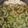 クックV1RT78☆'s cooksnap of when they made 育ちすぎきゅうりのお味噌汁.
