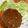 yummy?'s cooksnap of when they made ケチャップ１：１ソースのデミハンバーグ.