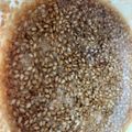 みきんどる's cooksnap of when they made ウチの黄金比～美味しい本格冷やし中華.