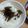 おかすんよ's cooksnap of when they made 芋づるの佃煮.