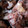 クックTHM5YF☆'s cooksnap of when they made おもちの焼き方.