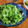 低カロ探検隊's cooksnap of when they made レンジで簡単！白菜の黒胡椒和え.