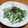 msft5632's cooksnap of when they made 水菜とツナの和風サラダ.