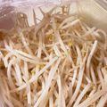ふぁんころ's cooksnap of when they made レンジで緑豆もやしを加熱！簡単♪.