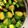 クックKUEVIS☆'s cooksnap of when they made 【オジー自慢の】自家製きゅうりのQちゃん.