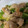 no1642's cooksnap of when they made 鶏もも肉とピーマンのカレーマヨ炒め.