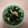 TMエクレア's cooksnap of when they made さっぱり！長芋、おくらのもずく酢和え.
