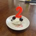 クック05ZGPD☆'s cooksnap of when they made 犬用☆わんホールbirthdayケーキ♪.