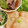 かけい飯's cooksnap of when they made 明太子と枝豆で♪山芋のふわふわ揚げ☆.