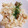 co☆Disney's cooksnap of when they made 簡単！激ウマ！ホタテの炊き込みご飯.