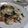 えりほの's cooksnap of when they made 辛くてウマい　たっぷり食べる春キャベツ.