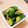 パグカップ's cooksnap of when they made 超簡単！「きゅうりの簡単漬け」.
