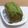 Yukiまむ's cooksnap of when they made 濃厚抹茶パウンドケーキ.