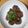 ネモフィラまま's cooksnap of when they made 簡単！ソース煮豚。.