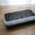 naoppyi･ө･'s cooksnap of when they made 小豆の炊き方.