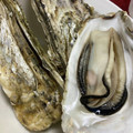 黒めんぼう's cooksnap of when they made 簡単まるごと絶品！シンプルな焼き牡蠣.