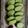 Galão's cooksnap of when they made カブと胡瓜の浅漬け.