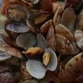 keiko513's cooksnap of when they made あさりとキャベツのレンジ蒸し.