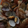 keiko513's cooksnap of when they made あさりとキャベツのレンジ蒸し.