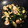 ame-ikuru's cooksnap of when they made えびとほうれん草の炒め物.