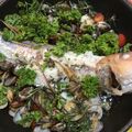 yumi4551's cooksnap of when they made 切り身で簡単！鯛のアクアパッツァ.