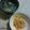 猫ローズ☆'s cooksnap of when they made きなこそうめん・ごまそうめん.